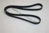 AUTOMEGA 3063400665 V-Ribbed Belts